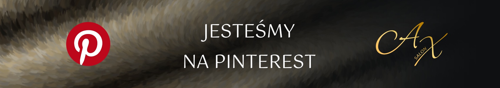 Baner SALON AX 2026 NA PINTEREST 1700X300